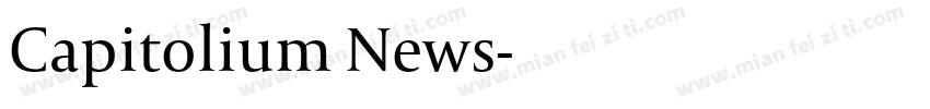 Capitolium News字体转换